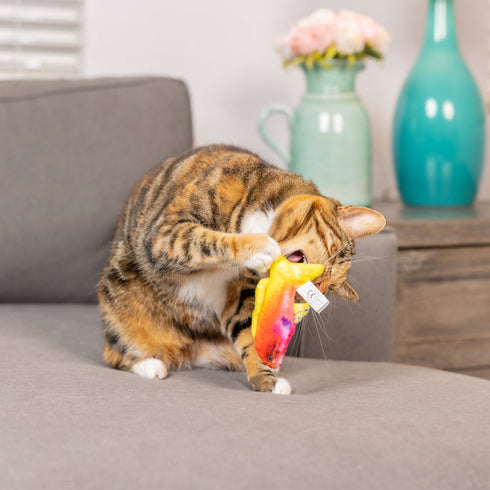 Huxley & Kent Cat Toy Rainbow Guppy